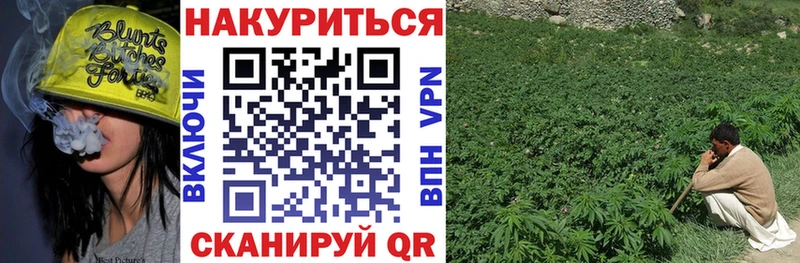 Хочу наркоту Ишим MEGA сайт  Псилоцибиновые грибы  А ПВП  ГАШИШ  Меф  КОКАИН 