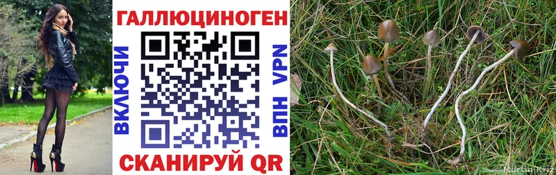как найти закладки  гидра ссылка  Псилоцибиновые грибы прущие грибы  Ишим 