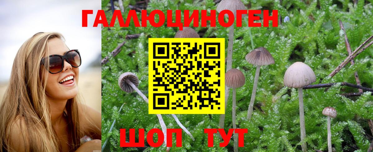 Псилоцибиновые грибы Magic Shrooms Ишим