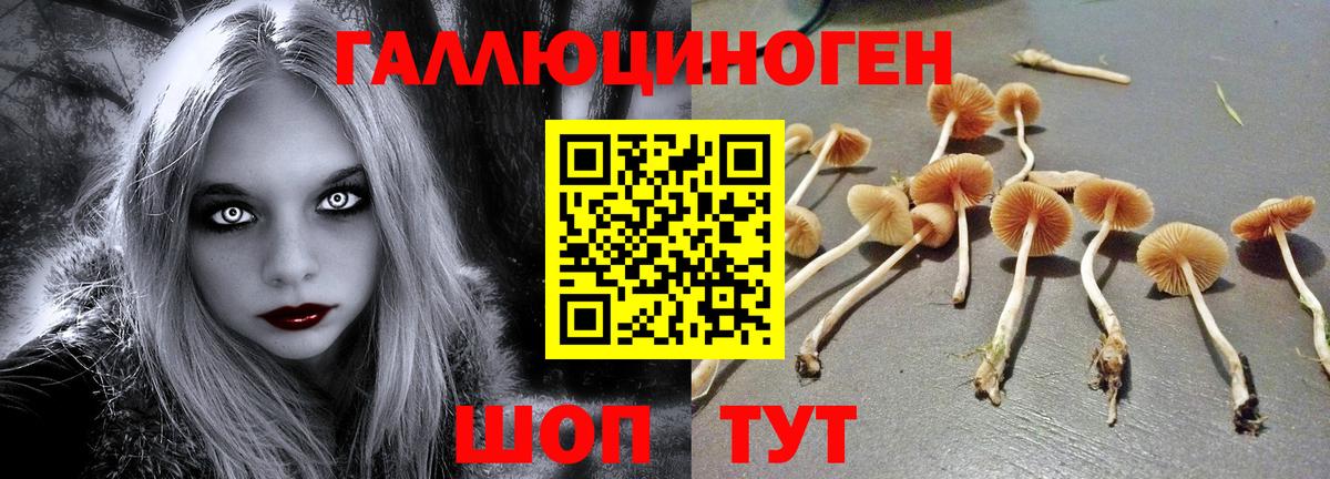 Ишим  Псилоцибиновые грибы GOLDEN TEACHER  Вход с VPN 
